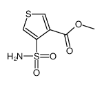 methyl 4-sulfamoylthiophene-3-carboxylate结构式