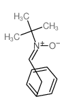 2-Propanamine,2-methyl-N-(2-phenylethylidene)-, N-oxide structure