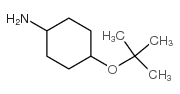 4-叔丁氧基环己胺结构式