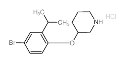 3-(4-Bromo-2-isopropylphenoxy)piperidine hydrochloride Structure