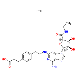CGS-21680 Structure