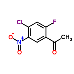1-(4-Chloro-2-fluoro-5-nitro-phenyl)-ethanone picture