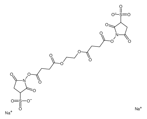 SULFO-EGS Structure