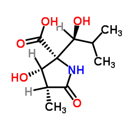 (3R,4S)-(-)-1-BENZYL-3,4-PYRROLIDINDIOL picture