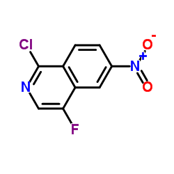 1-Chloro-4-fluoro-6-nitroisoquinoline结构式