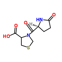 [S-(R*,S*)]-3-[(5-氧代-2-吡咯烷基)羰基]-4-噻唑烷羧酸图片