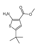 methyl 2-amino-5-tert-butylthiophene-3-carboxylate picture