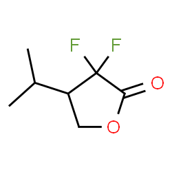 2(3H)-Furanone,3,3-difluorodihydro-4-(1-methylethyl)-(9CI) Structure