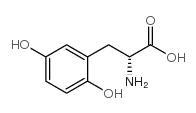 (R)-2-AMINO-3-(2,5-DIHYDROXYPHENYL)PROPANOIC ACID structure