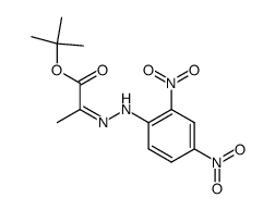 2-((Z)-2,4-dinitro-phenylhydrazono)-propionic acid tert-butyl ester结构式