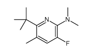 6-tert-butyl-3-fluoro-N,N,5-trimethylpyridin-2-amine Structure