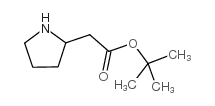 PYRROLIDIN-2-YL-ACETIC ACID TERT-BUTYL ESTER structure