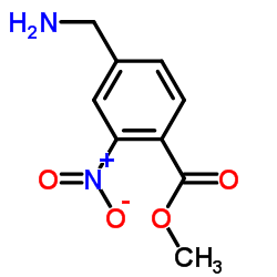 Benzoic acid, 4-(aminomethyl)-2-nitro-, methyl ester (9CI) picture