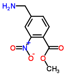 Benzoic acid, 4-(aminomethyl)-2-nitro-, methyl ester (9CI)结构式