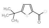 5-叔丁基噻吩-2-甲酰氯结构式