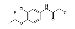 2-CHLORO-N-(3-CHLORO-4-DIFLUOROMETHOXY-PHENYL)-ACETAMIDE structure