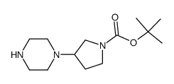 tert-butyl 3-(piperazin-1-yl)pyrrolidine-1-carboxylate picture