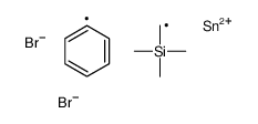 [dibromo(phenyl)stannyl]methyl-trimethylsilane Structure