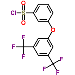 [3-[3,5-BIS(TRIFLUOROMETHYL)PHENOXY]PHENYL]SULFONYL CHLORIDE结构式