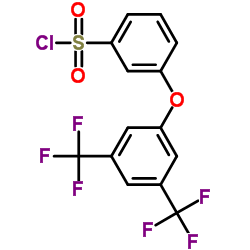 [3-[3,5-BIS(TRIFLUOROMETHYL)PHENOXY]PHENYL]SULFONYL CHLORIDE Structure