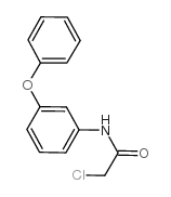 2-CHLORO-N-(3-PHENOXY-PHENYL)-ACETAMIDE Structure