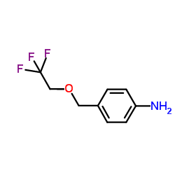 4-[(2,2,2-Trifluoroethoxy)methyl]aniline Structure
