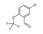 5-Chloro-2-(trifluoromethoxy)benzaldehyde picture