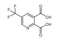 5-trifluoromethyl-2,3-pyridinedicarboxylic acid结构式