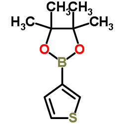 thiophene-3-boronic acid pinacol ester picture