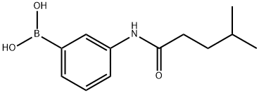 3-(4-methylpentanamido)phenylboronic acid结构式