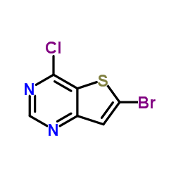 6-溴-4-氯噻吩[3,2-D]嘧啶图片