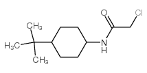 N-(4-tert-butylcyclohexyl)-2-chloroacetamide图片