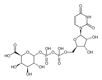 UDP-galacturonic acid structure