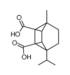 1-methyl-4-propan-2-ylbicyclo[2.2.2]octane-2,3-dicarboxylic acid Structure