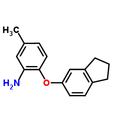 2-(2,3-Dihydro-1H-inden-5-yloxy)-5-methylaniline结构式