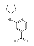 2-(Cyclopentylamino)isonicotinic acid Structure