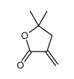 5,5-dimethyl-3-methylideneoxolan-2-one Structure