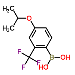 (4-ISOPROPOXY-2-(TRIFLUOROMETHYL)PHENYL)BORONIC ACID Structure