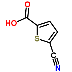 5-氰基噻吩-2-羧酸结构式