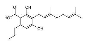 cbgva structure