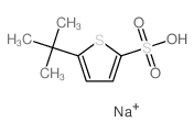 5-tert-butylthiophene-2-sulfonic acid Structure
