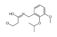 3-chloro-N-[(3-methoxy-2-propan-2-yloxyphenyl)methyl]propanamide结构式