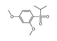 2,4-dimethoxy-1-propan-2-ylsulfonylbenzene结构式
