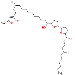 catechol o-methyltransferase structure