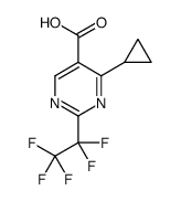 4-cyclopropyl-2-(1,1,2,2,2-pentafluoroethyl)pyrimidine-5-carboxylic acid结构式