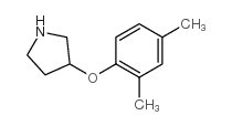 3-(2,4-dimethylphenoxy)pyrrolidine结构式