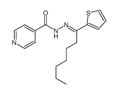 N-[(E)-1-thiophen-2-ylheptylideneamino]pyridine-4-carboxamide结构式