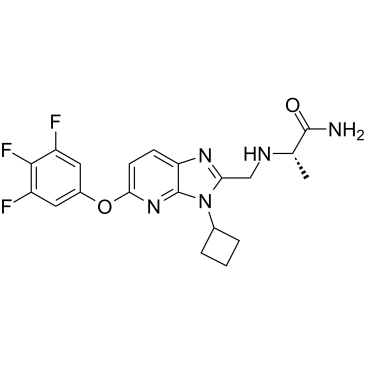 DSP2230 Structure