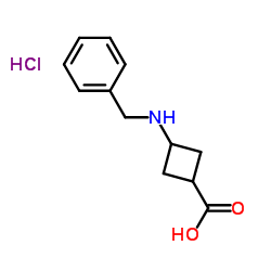 3-(Benzylamino)cyclobutanecarboxylic acid hydrochloride (1:1) Structure