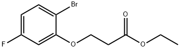 Ethyl 3-(2-bromo-5-fluoro-phenoxy)propanoate结构式